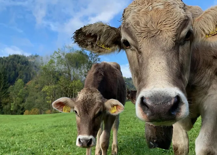 Alpenländischer Chalet-Chic Oberstdorf